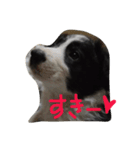 ちびボー2（個別スタンプ：6）