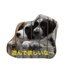 ちびボー2（個別スタンプ：7）