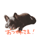 心が震える可愛さのボブ2（個別スタンプ：6）