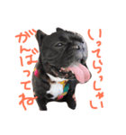 心が震える可愛さのボブ2（個別スタンプ：7）