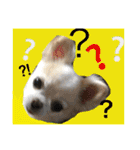 chiwawa  tsuna（個別スタンプ：16）
