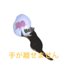 実写！ペットだらけ（個別スタンプ：38）
