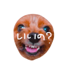 さくらスタンピィ！（個別スタンプ：13）