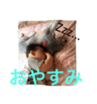 はるまのほのぼのLife（個別スタンプ：11）
