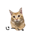 るるららろろくま（個別スタンプ：4）