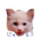 るるららろろくま（個別スタンプ：9）