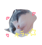 るるららろろくま（個別スタンプ：14）