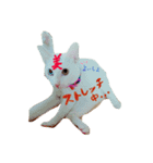 白ねこのにゃあ暮らし♪（個別スタンプ：8）