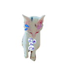白ねこのにゃあ暮らし♪（個別スタンプ：9）