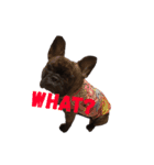 2Dog.s（個別スタンプ：8）