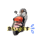 まるりちスタンプ（個別スタンプ：16）