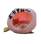 猫の姉妹 ムギチョコ姉妹 Part2（個別スタンプ：3）