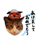 猫の姉妹 ムギチョコ姉妹 Part2（個別スタンプ：40）