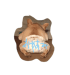 ぶんかる（個別スタンプ：4）