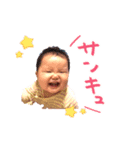しょきたんスタンプ(日常会話)（個別スタンプ：1）