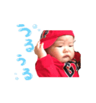 しょきたんスタンプ(日常会話)（個別スタンプ：5）