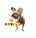 美豚（個別スタンプ：8）
