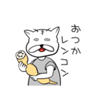 意識低い系ねこスタンプ（個別スタンプ：2）