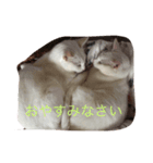 ふうこ2（個別スタンプ：7）