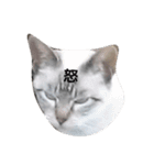 ねこいろいろ集め（個別スタンプ：8）