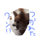 猿に似たたかひろくんのスタンプです！（個別スタンプ：15）