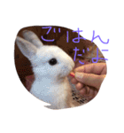 猿に似たたかひろくんのスタンプです！（個別スタンプ：20）