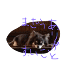 猿に似たたかひろくんのスタンプです！（個別スタンプ：21）
