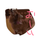 猿に似たたかひろくんのスタンプです！（個別スタンプ：32）