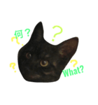 MAME what edition（個別スタンプ：6）