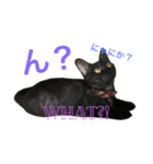 MAME what edition（個別スタンプ：8）