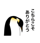 ダンディペンギン（個別スタンプ：3）