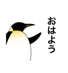 ダンディペンギン（個別スタンプ：19）