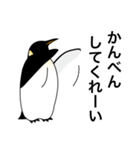 ダンディペンギン（個別スタンプ：24）