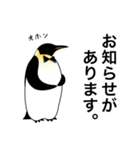 ダンディペンギン（個別スタンプ：29）