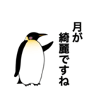 ダンディペンギン（個別スタンプ：38）