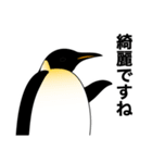 ダンディペンギン（個別スタンプ：39）