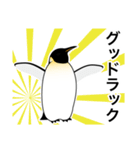 ダンディペンギン（個別スタンプ：40）
