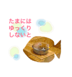 cat+dog2（個別スタンプ：12）