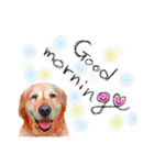 cat+dog2（個別スタンプ：18）