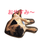 おぴっこ太郎（個別スタンプ：2）