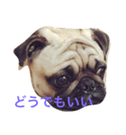 おぴっこ太郎（個別スタンプ：5）