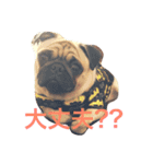 おぴっこ太郎（個別スタンプ：7）