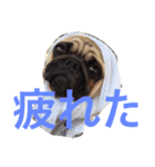 おぴっこ太郎（個別スタンプ：8）