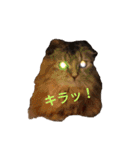 DairikiDaruma（個別スタンプ：6）