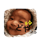 aoi stamp 812 no2（個別スタンプ：8）