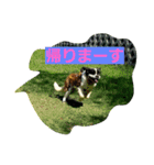 ROYAL ROAD（個別スタンプ：2）