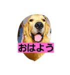 ROYAL ROAD（個別スタンプ：7）