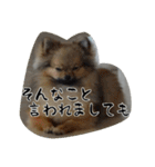 モフ犬（個別スタンプ：5）