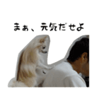 モフ犬（個別スタンプ：26）