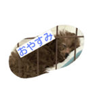ルークの可愛いスタンプ（個別スタンプ：2）